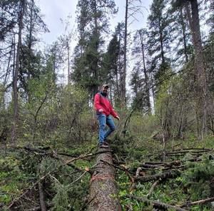 Meet your Posher, Austin